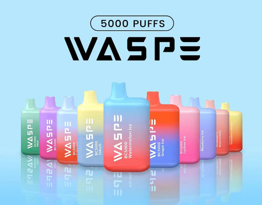 Waspe 5000 PUFFS Rechargeable Disposable Vape 13ml Pre Filled Ejuice