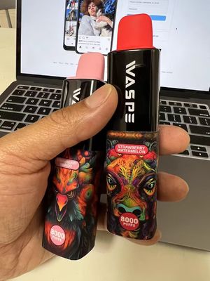 Type-C Charging Cabe Waspe 8000Puffs Disposable Electronic Pen with 650mAh Battery