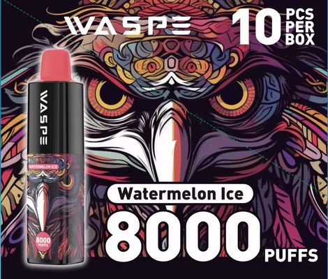 Type-C Charging Cabe Waspe 8000Puffs Disposable Electronic Pen with 650mAh Battery