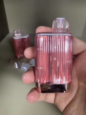 OEM Te5000 13.5ml 5000 Puffs Mesh Coil Disposable Vape 950mah