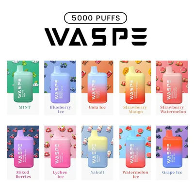 Waspe 5000 Puffs Disposable Vape Pen 650mAh Type-C Rechargeable Ecig