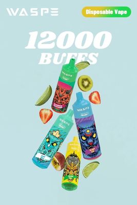 Big Puffs 12000Puffs Disposable E-Cigarette With Mesh Coil / RGB Light