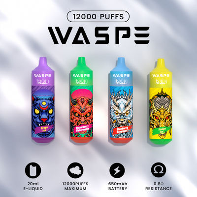 Waspe 12000Puffs 20 ML E-Liquid Disposable Vape Pen With Type-C Charging Colorful RGB Light