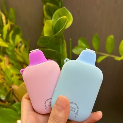 Over 10000puffs High Puff Disposable Vape with 650mAh Battery