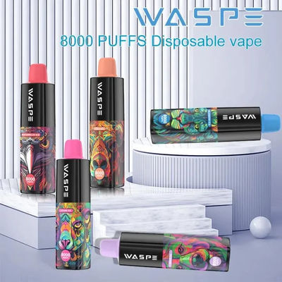 10 Flavors 8000Puffs Disposable Vape Pen featuring Airflow Adjustable and Type-C Charging Cable