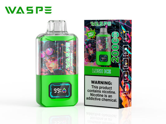 Sus304 Big Puff Vape With 20000 Puffs 650Mah Battery Screen Display