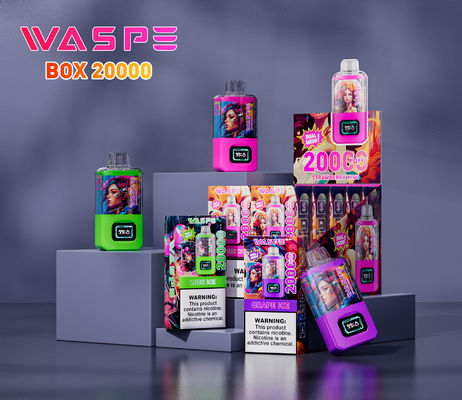 12 Fruity Flavors Big Puff Vape Sus304 24Ml Ejuice Screen Display Type C Charging