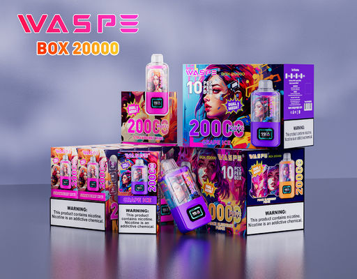 12 Fruity Flavors Big Puff Vape Sus304 24Ml Ejuice Screen Display Type C Charging