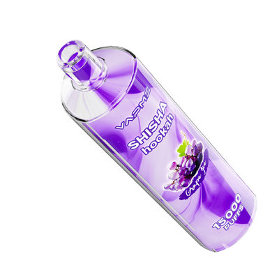 24 Fruity Flavors Type C Charging Port Big Puff Vape Kit SUS304 0%/2% Nic 650mAh Battery
