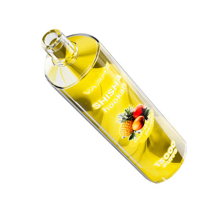 15000puffs Fruity Flavors Vape Type C Charging Port 25ml Ejuice Capacity SUS304