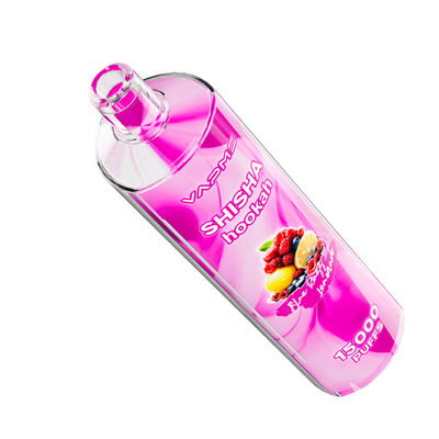15000puffs Fruity Flavors Vape Type C Charging Port 25ml Ejuice Capacity SUS304