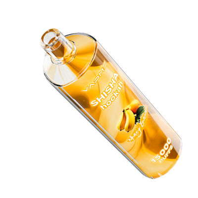15000puffs Fruity Flavors Vape Type C Charging Port 25ml Ejuice Capacity SUS304