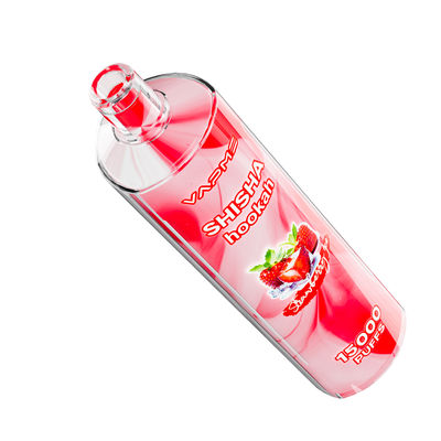 15000puffs Fruity Flavors Vape Type C Charging Port 25ml Ejuice Capacity SUS304