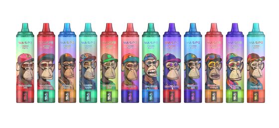 Big Puff SUS304 5% Nicotine 15000 Puffs Vape For 12 Fruity Flavors