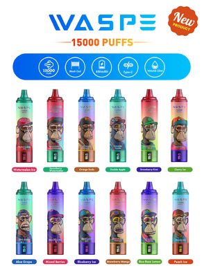 Custom 22ml SUS304 Vape With 12 Fruity Flavors 15000-Puff Capacity Type C Charging
