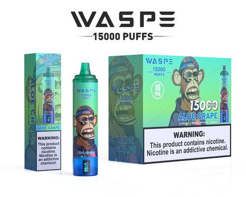 Custom 22ml SUS304 Vape With 12 Fruity Flavors 15000-Puff Capacity Type C Charging