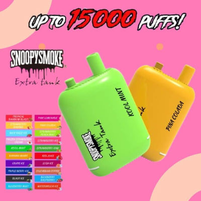 Fruit Flavor Double18mL Pre Filled E Liquid Battery Type C Rechargeable Pod Kit 15000 Puffs