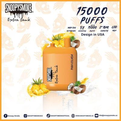 Dual Tank Type C Rechargeable Battery with 15000puffs Fruit Flavor 1.2ohm Mesh Coil