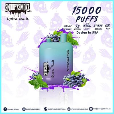Dual Tank Type C Rechargeable Battery with 15000puffs Fruit Flavor 1.2ohm Mesh Coil