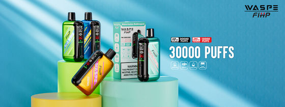 Type-C Charging 1ohm Dual Mesh Coil Vape with Long Lasting Performance and 15000 Puffs