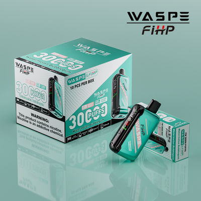 Type-C Charging 1ohm Dual Mesh Coil Vape with Long Lasting Performance and 15000 Puffs
